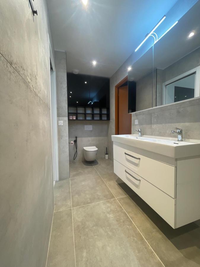 Chez Flo Apartment Grenoble Ngoại thất bức ảnh