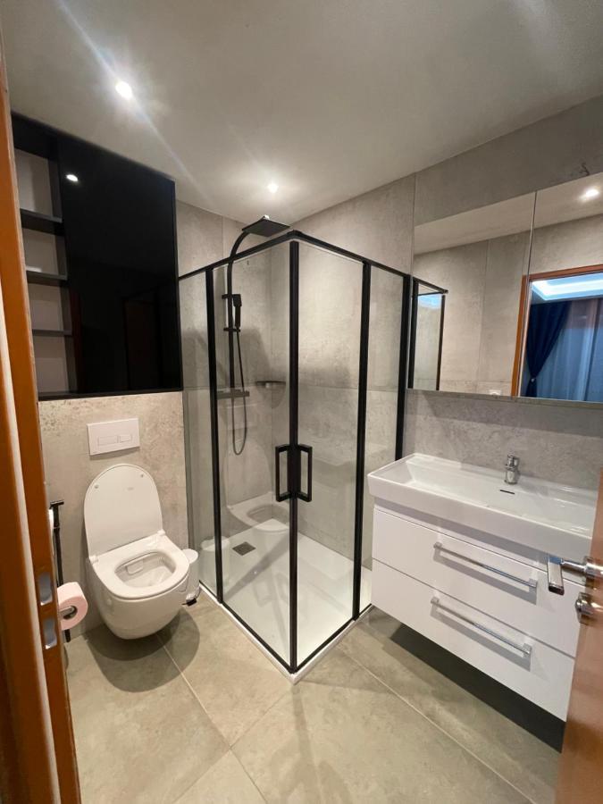 Chez Flo Apartment Grenoble Ngoại thất bức ảnh