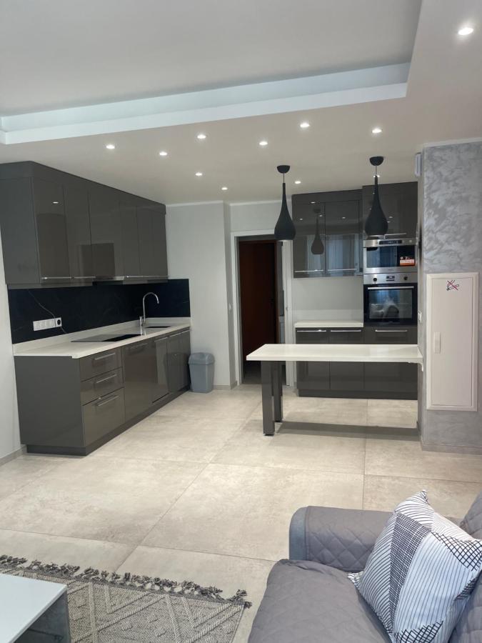 Chez Flo Apartment Grenoble Ngoại thất bức ảnh