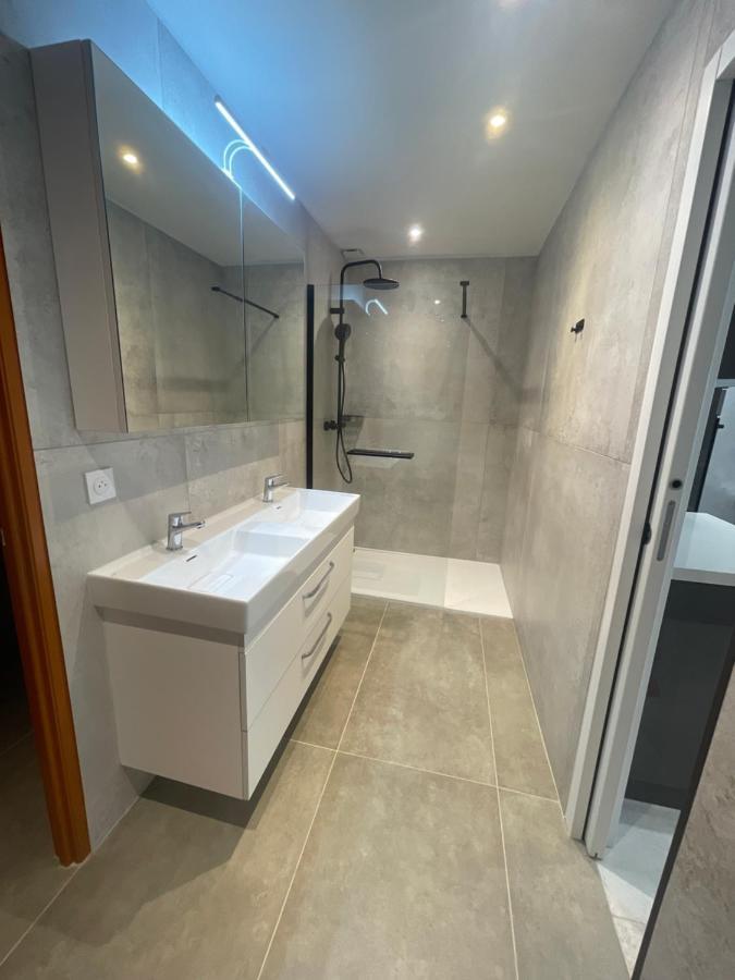 Chez Flo Apartment Grenoble Ngoại thất bức ảnh