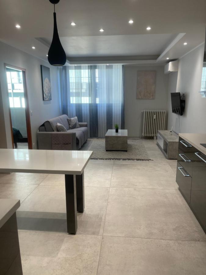 Chez Flo Apartment Grenoble Ngoại thất bức ảnh