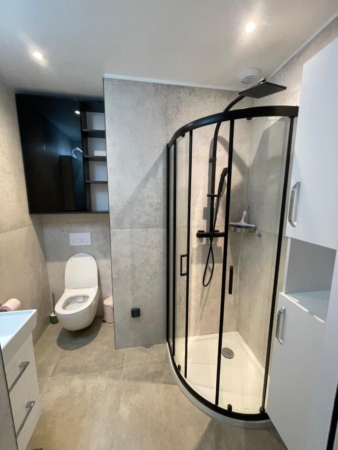 Chez Flo Apartment Grenoble Ngoại thất bức ảnh
